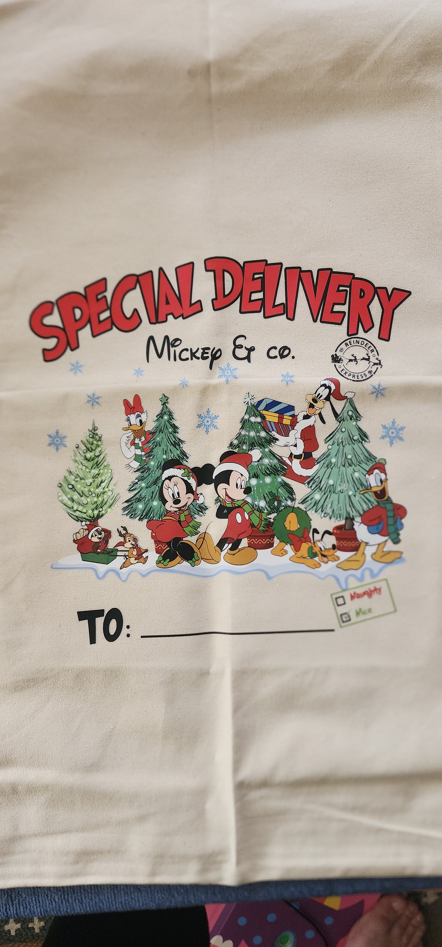 Mickey Mouse Christmas Sack