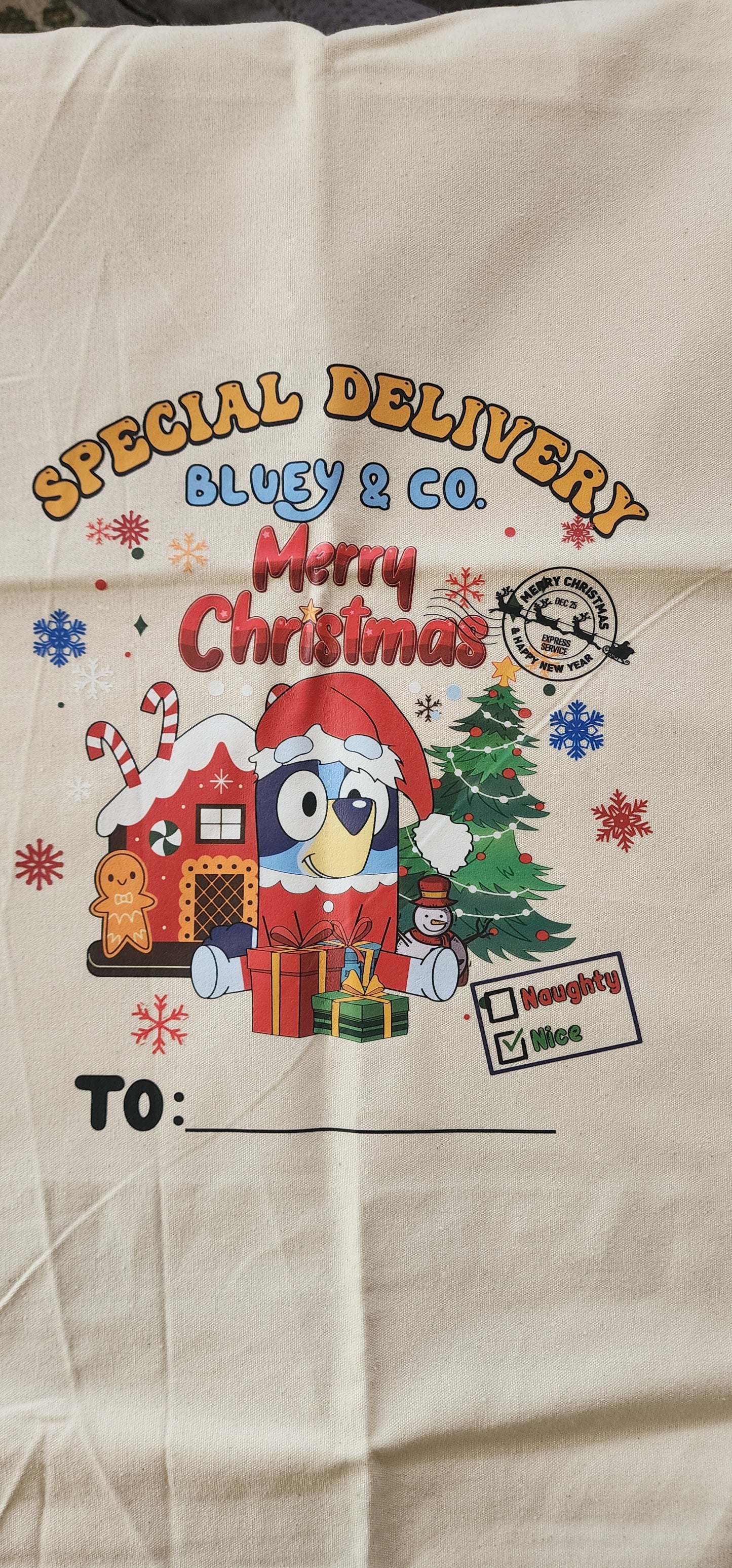 Bluey Christmas Sack