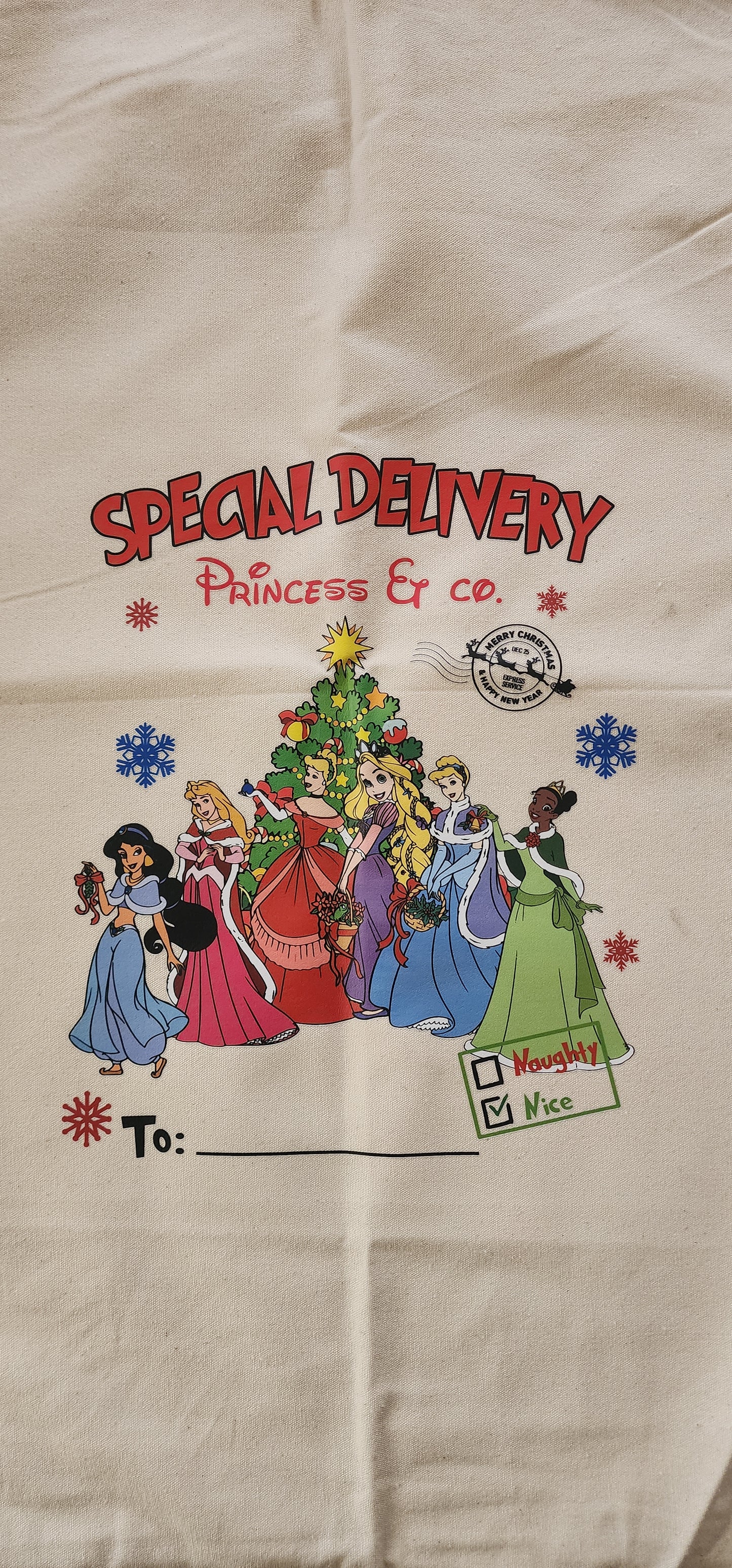 Princess Christmas Sack
