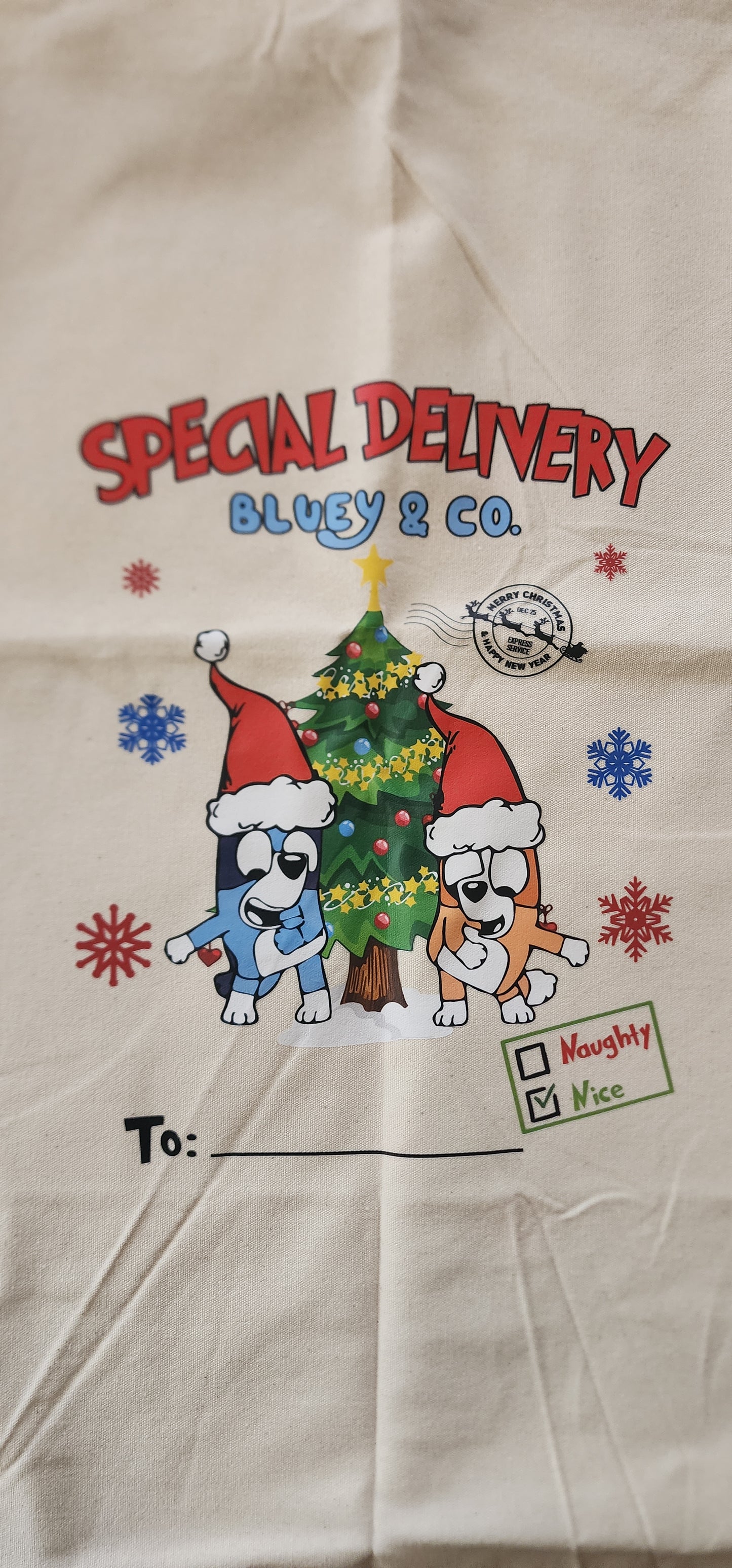 Bluey Christmas Sack